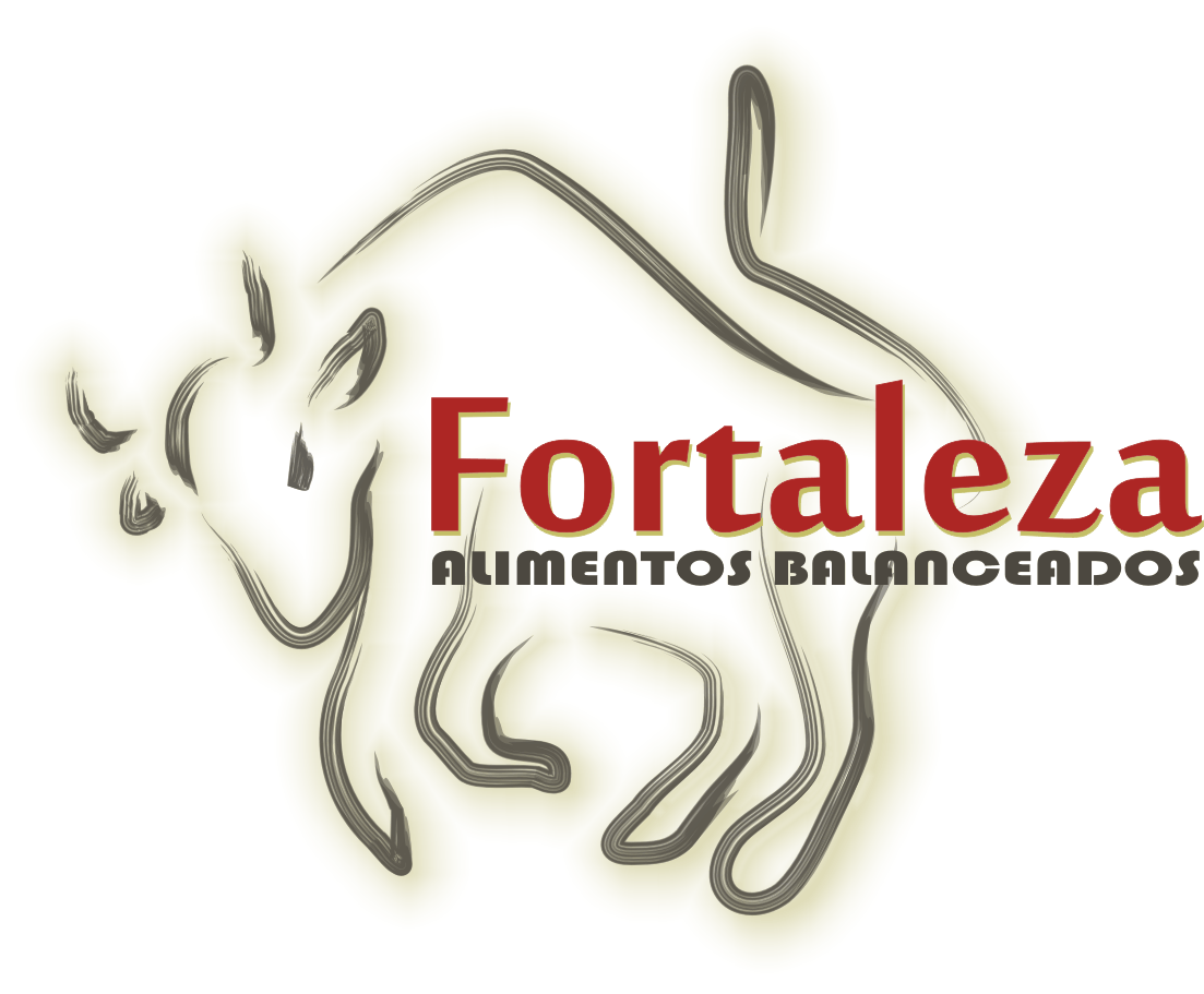 Fortaleza Fortaleza